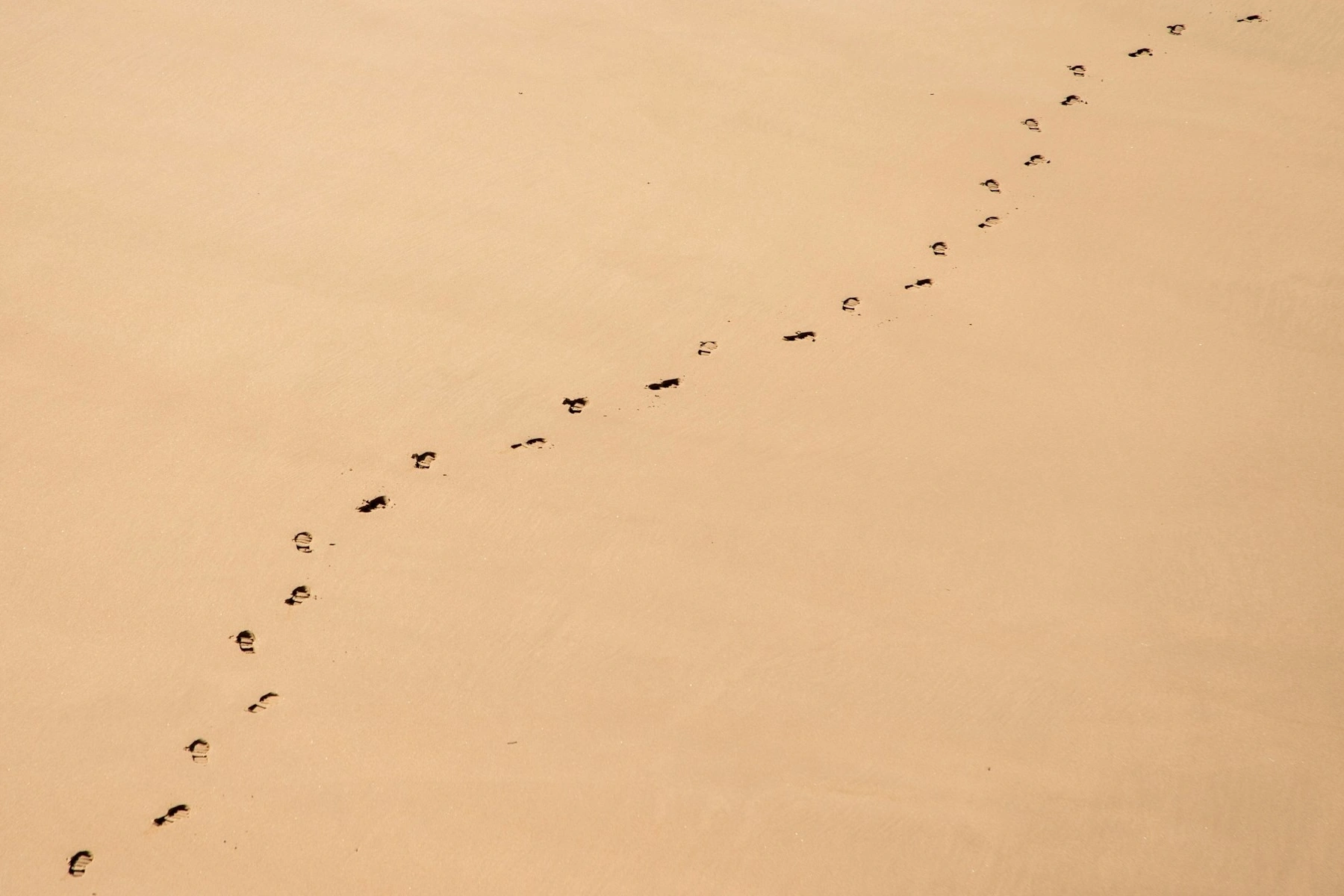 Empreintes dans le sable illustrant le suivi des campagnes avec les paramètres UTM